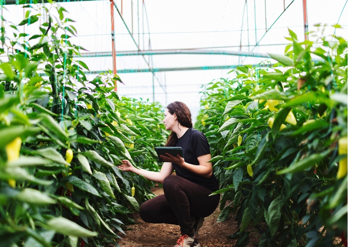 ayudas incorporacion_diciembre_2023