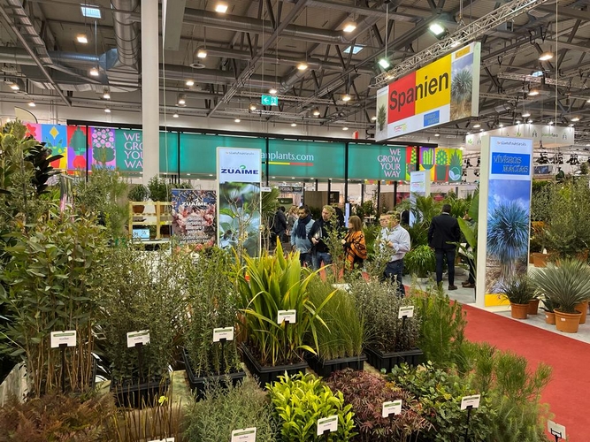 IPM Essen 2023_Stand Viveros Zuaime
