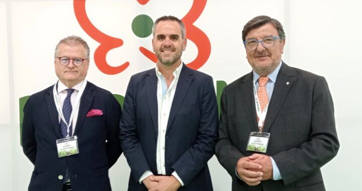 20240201_INGENIO PRIMAFLOR_1