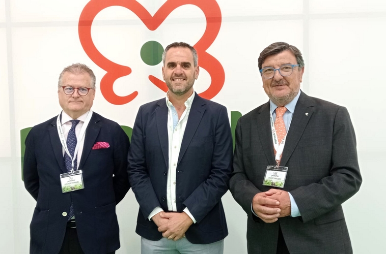 20240201_INGENIO PRIMAFLOR_1