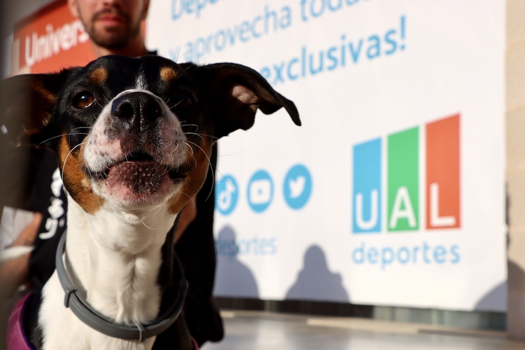 FOTO 3 UAL 9 FEBRERO 2024 CURSO ANIMALES SALUD MENTAL