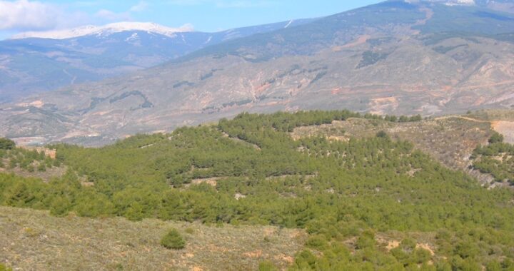 Montes de la Sierra de Gádor