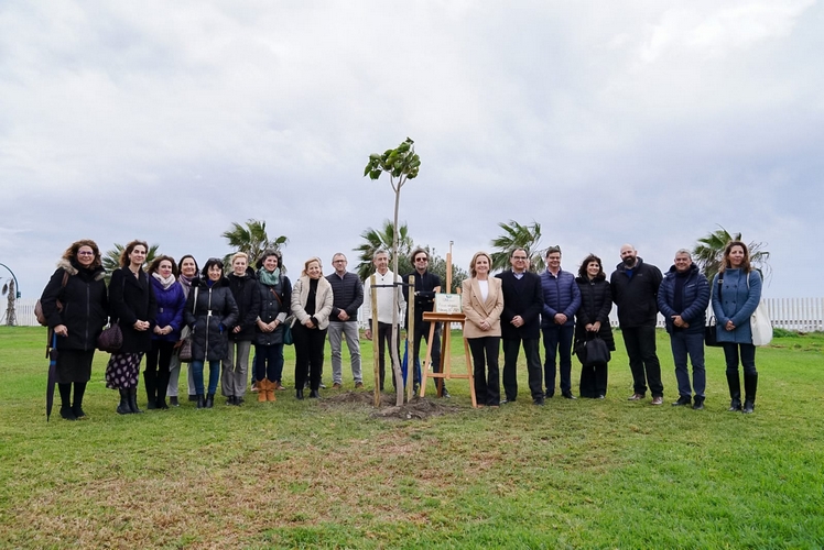 WhatsApp Image 2024-02-26 at 13.34.31