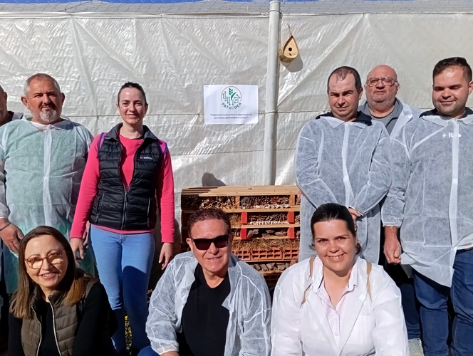 20240308_Proyecto PATH2DEA (2)