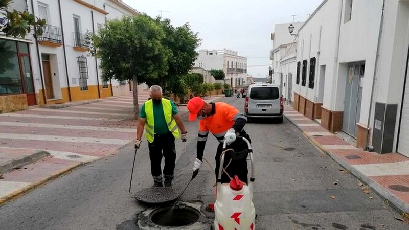 licitacion