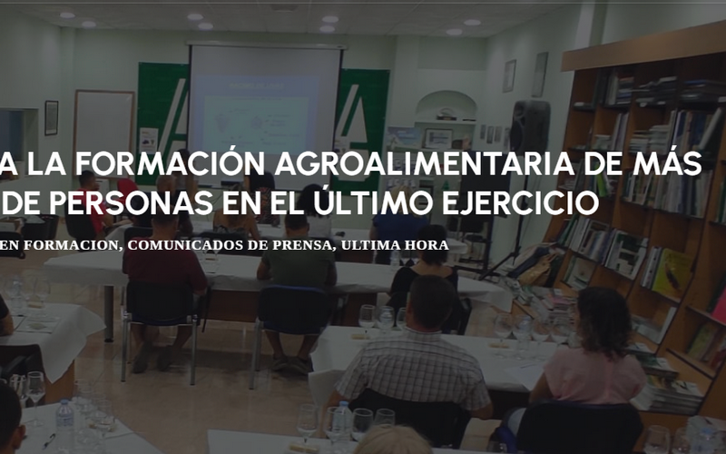 Captura de pantalla 2024-05-17 193059