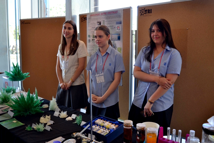 FOTO MAYO 10 2024 PRIMER PREMIO CONCURSO CRISTALIZACIÓN EN LA ESCUELA