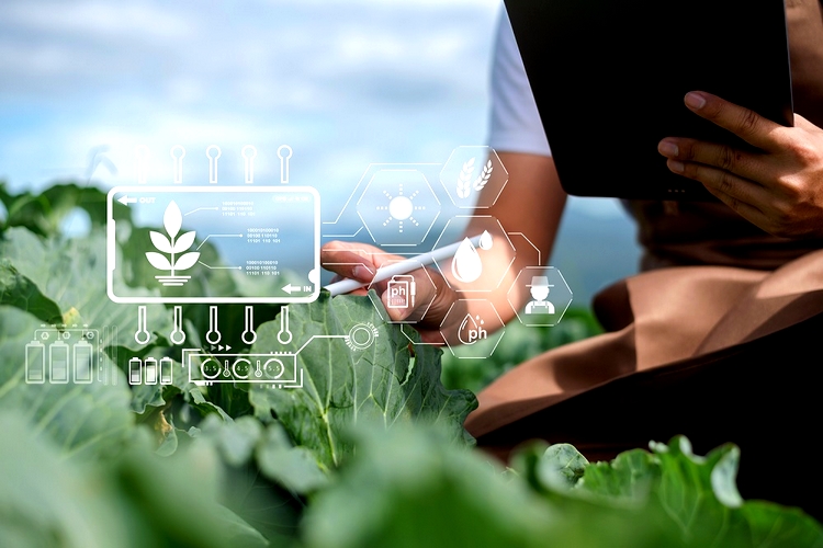 Agricultural technology farmer man using tablet computer analyzing data and morning image icon.