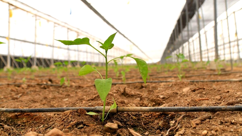 agri