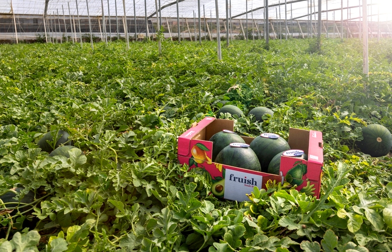 250624 GRUPO AGROPONIENTE. Balance campaña 1