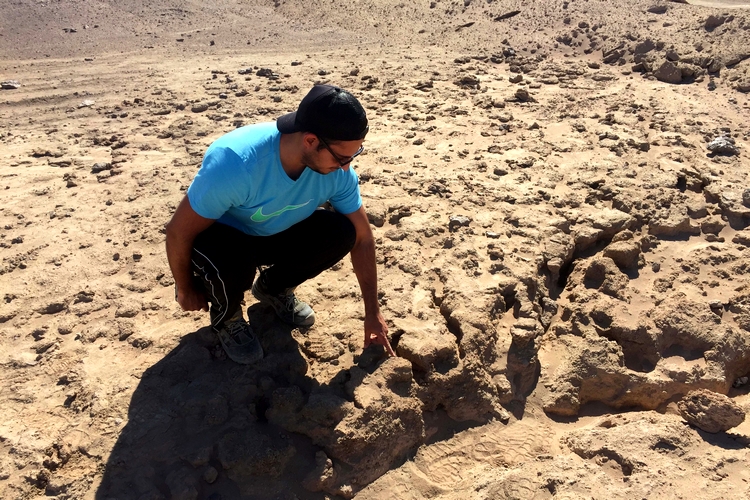 FOTO 2 JUNIO 19 2024 INVESTIGACIÓN EN DESIERTO DE ATACAMA
