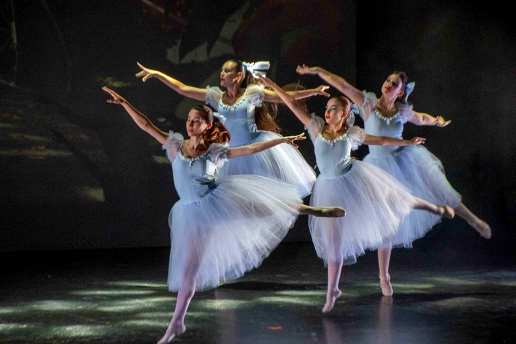 240701 Academia Adagio (23)