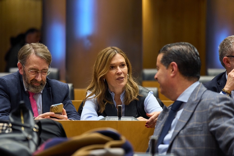 ANA MARTÍNEZ LABELLA EN EL CONGRESO