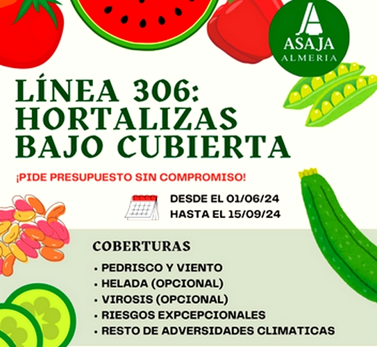 LINEA 306_ HORTALIZAS BAJO CUBIERTA