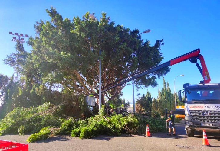 240926 El Ayuntamiento de Adra intensifica las labores de poda y desbroc...