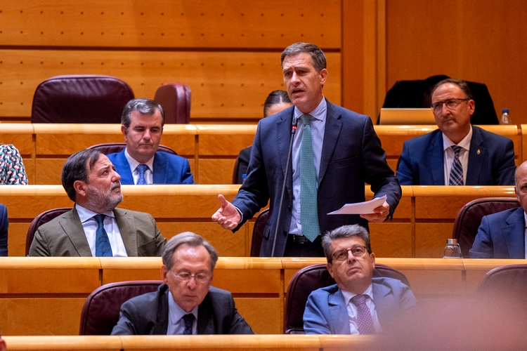 FOTO MIGUEL ÁNGEL CASTELLÓN EN EL PLENO DEL SENADO