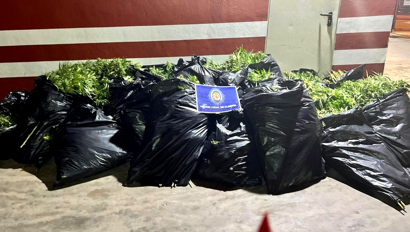 16-10-2024 POLICIA LOCAL INCAUTACION MARIHUANA