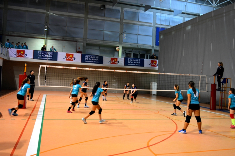 241015 JDM Voleibol