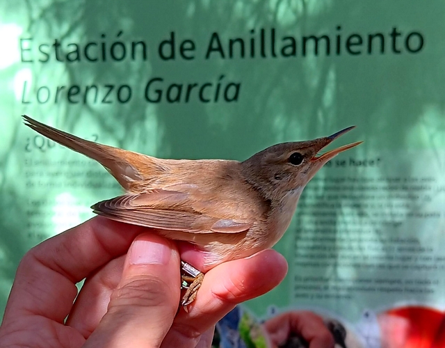 Acto Día de las Aves (4)