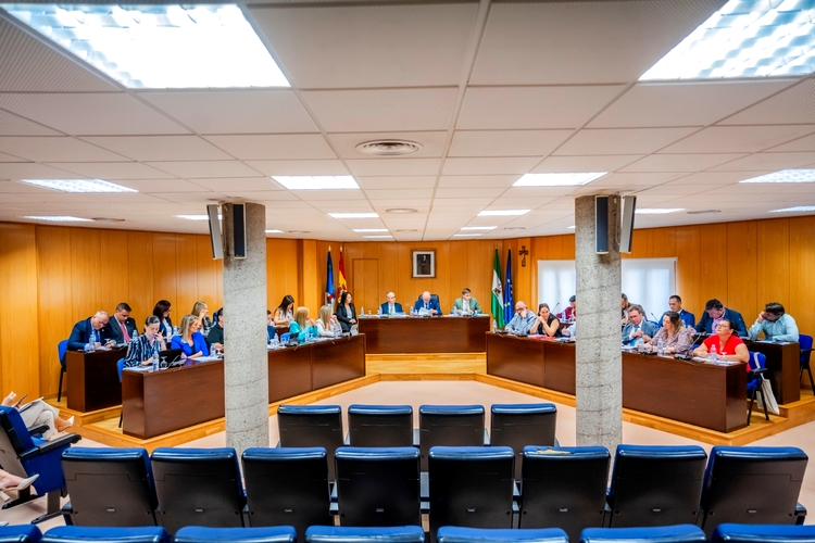 pleno ayuntamiento 1