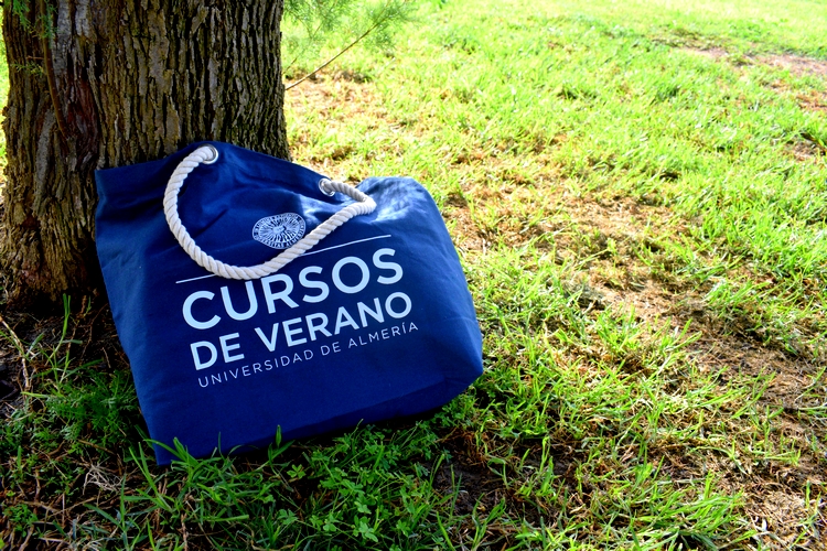FOTO NOVIEMBRE 20 2024 NUEVA CONVOCATORIA CURSOS DE VERANO