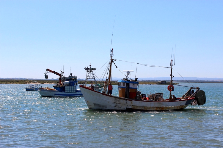 241220 PESCA DE ARRASTRE