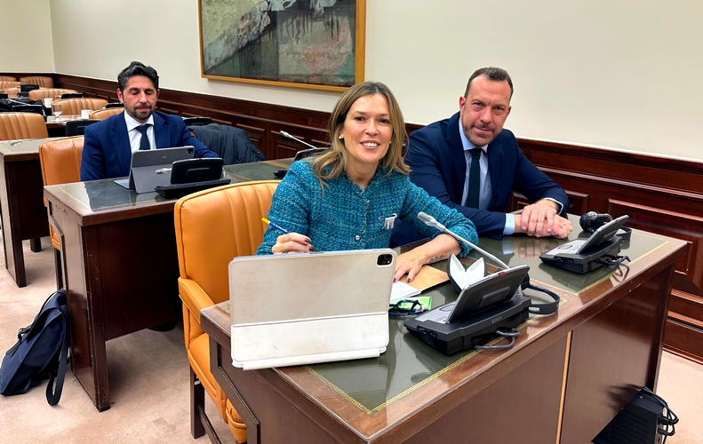 ANA MARTÍNEZ LABELLA HOY EN LA COMISIÓN DE TRANSPORTES DEL CONGRESO