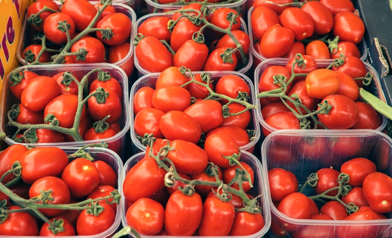 Bandejas tomate