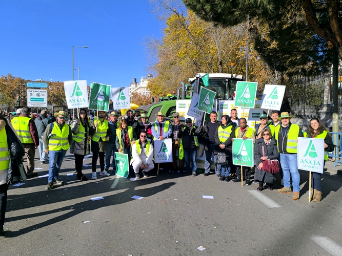 WhatsApp Image 2024-12-16 at 13.33.39