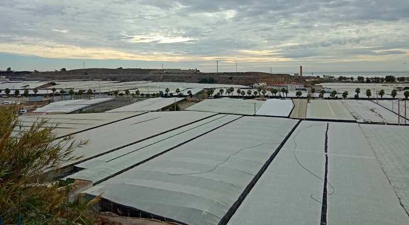 panoramica_Invernadero_almeria