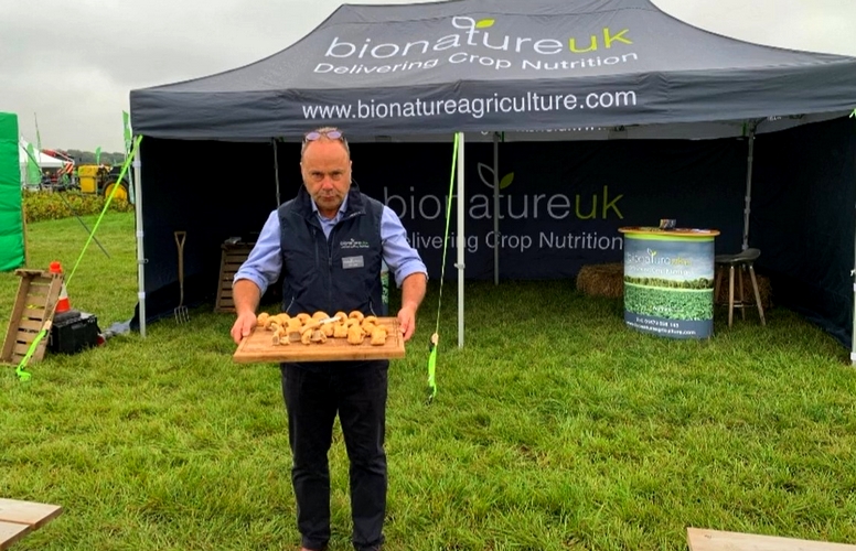 250124 Ensayo en patata Daisy en Lincoln