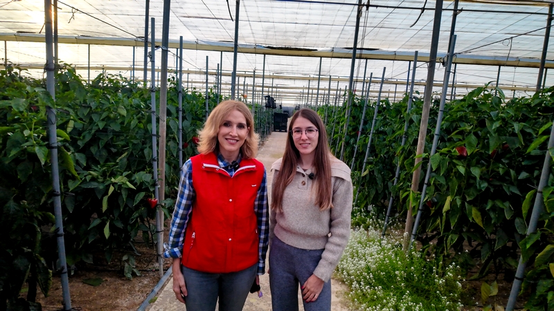 JULIA IBÁÑEZ EN INVERNADERO 4