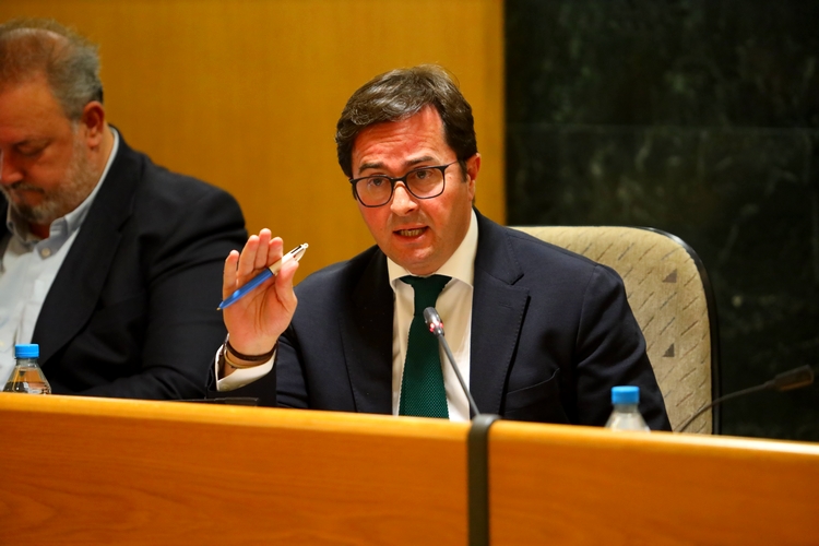 250131 PLENO RAFIA (2)