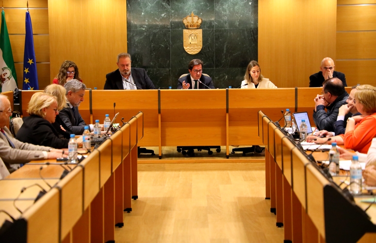 250131 PLENO SANIDAD (1)