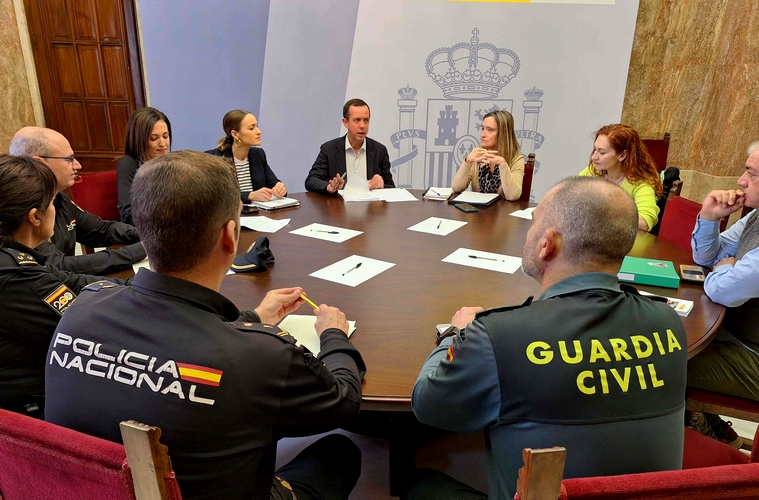 250218 Reunión Plan Director 180225