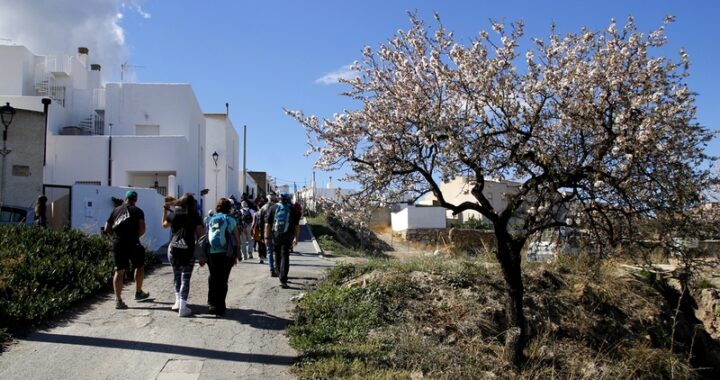 Imagen de una edición anterior de la ruta del almendro en flor en Lucainena de las Torres