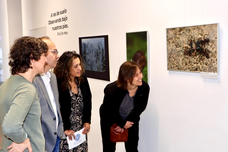 FOTO 2 UAL 25 MARZO 2025 EXPO A RAS DE SUELO (2)