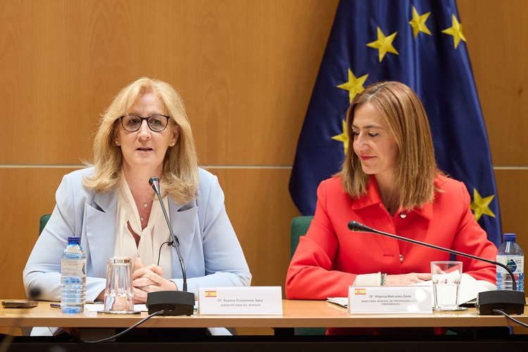 250422 subse_Operación_Paso_Estrecho_2025 01