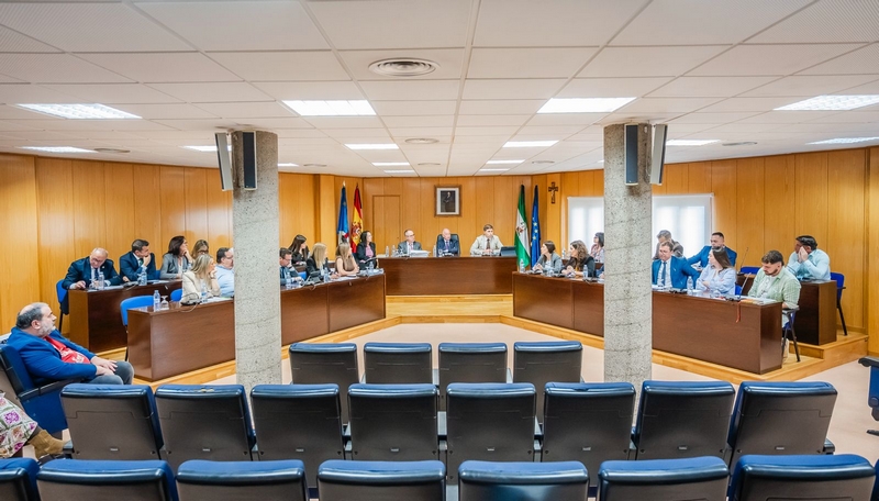 PLENO ORDINARIO