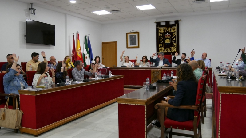 250508 Pleno ordinario