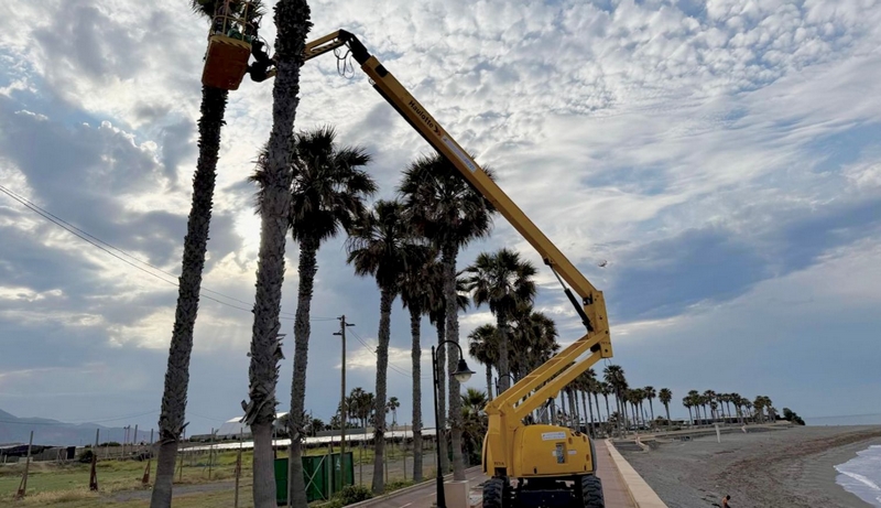 250515 El Ayuntamiento da continuidad al mantenimiento de jardines de Ad...
