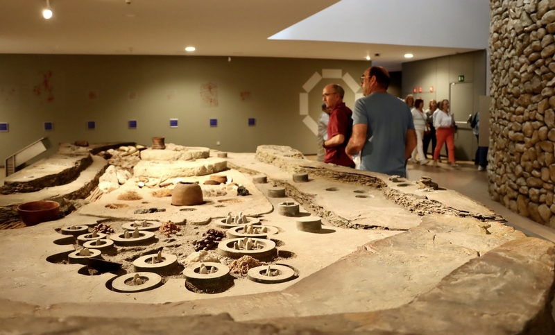 FOTO 5 UAL 25 MAYO 2025 UAL TRANSFIERE ABLA VIVA