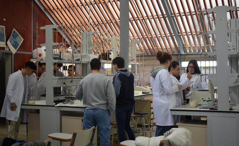 FOTO 4 UAL 22 JUNIO 2025 ESTUDIANTES LABORATORIO