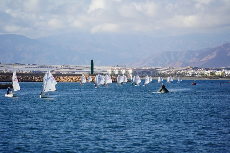 VELA EN ALMERIMAR