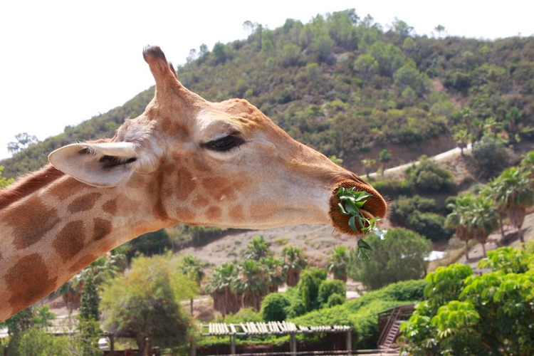 fotonoticia_20250621101917_1920