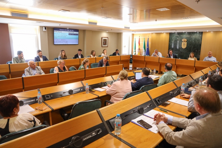 PLENO (7)