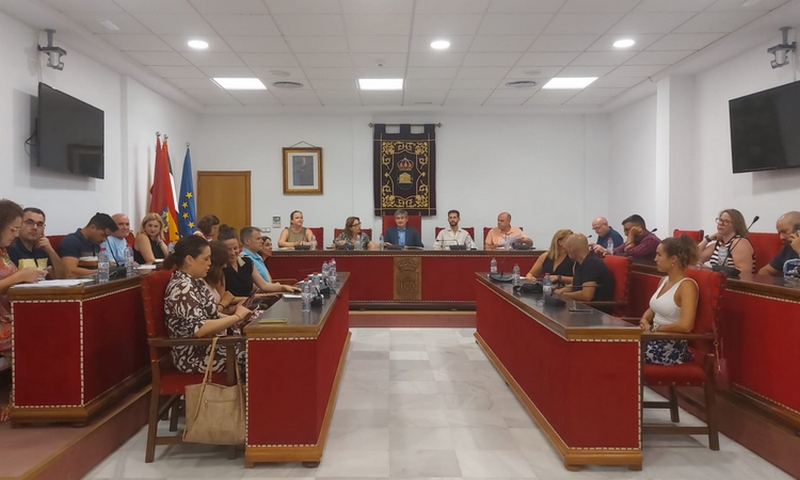 PLENO JULIO 2025 (2)