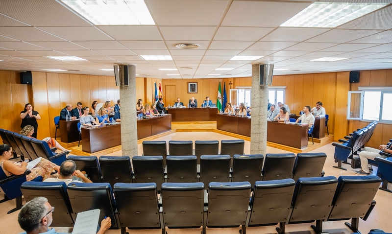 pleno ordinario 3 de julio 1