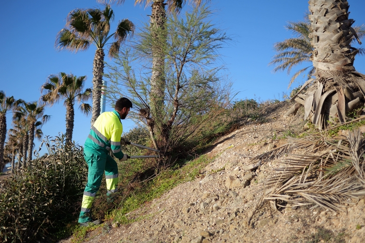 Foto de archivo trabajos de jardinería en Carbonera (1)