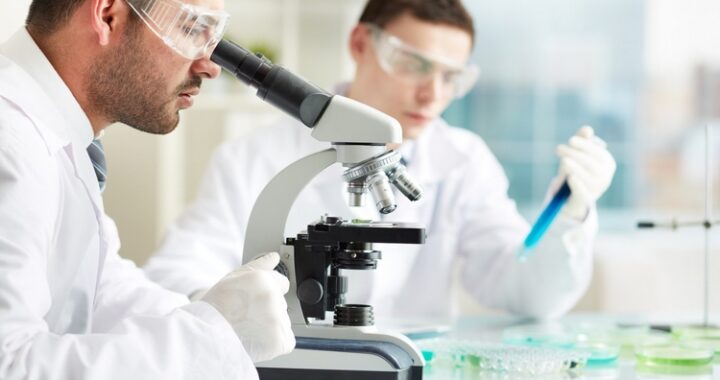 LABORATORIO